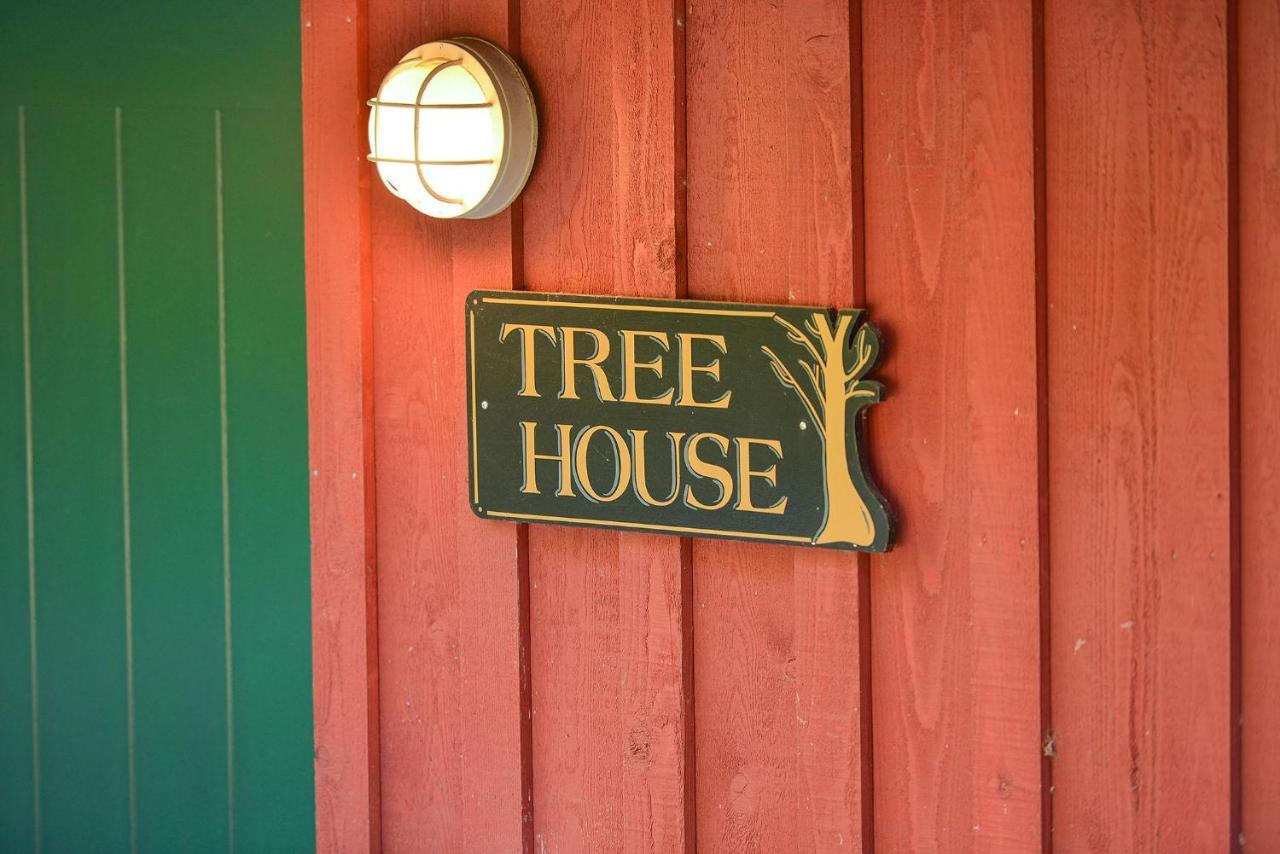 Salishan Tree House Suite カウチン・ベイ エクステリア 写真
