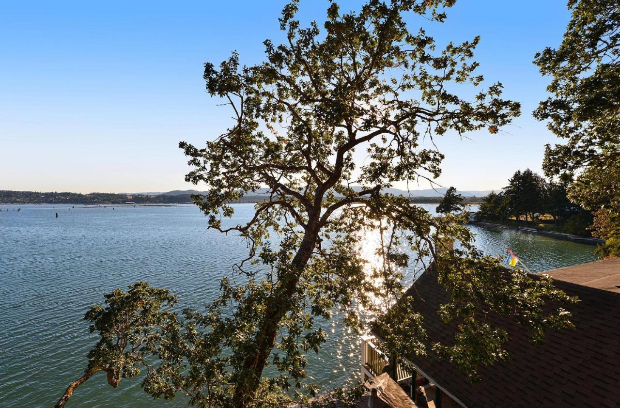 Salishan Tree House Suite カウチン・ベイ エクステリア 写真
